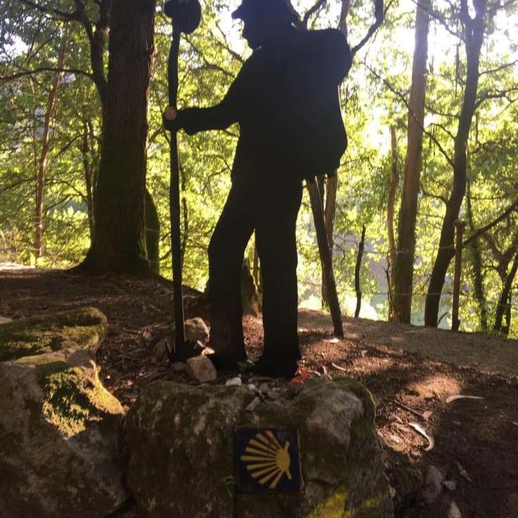 71374625_930911210610770_5536250391148101632_n