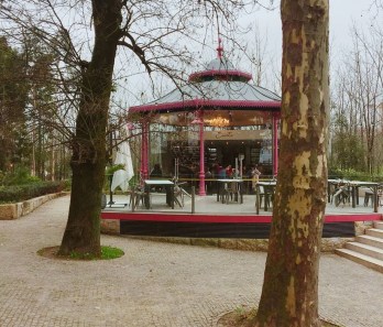 IMG_20200209_153137_028